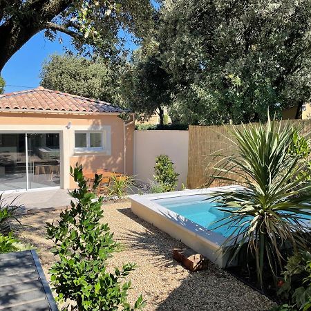 Magnifique Villa Avec Piscine En Provence Bédarrides Esterno foto